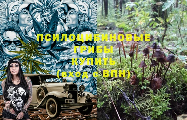 трава Переславль-Залесский