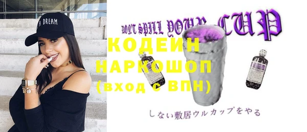 дурь Пестово