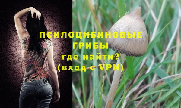mix Пересвет