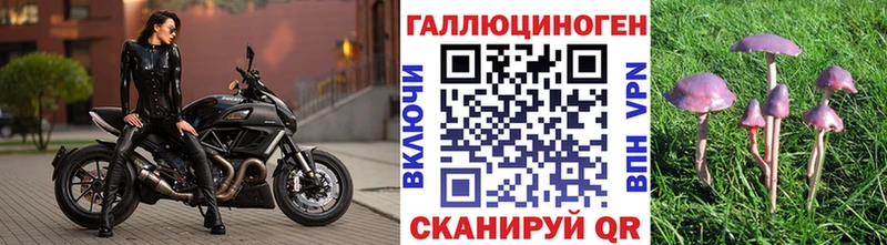 Галлюциногенные грибы Magic Shrooms  blacksprut как зайти  Светогорск 