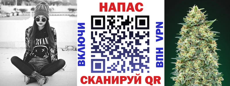 где продают наркотики  Светогорск  Бошки Шишки конопля 
